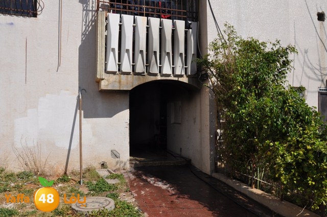 fireshekonatelarab (14).JPG